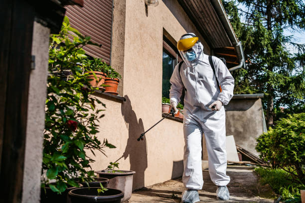 Best Emergency Pest Control  in Conrad, IA