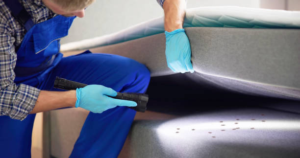 Best Pest Control for Restaurants  in Conrad, IA