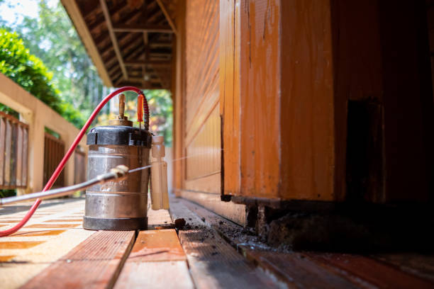 Best Ant Control Services  in Conrad, IA